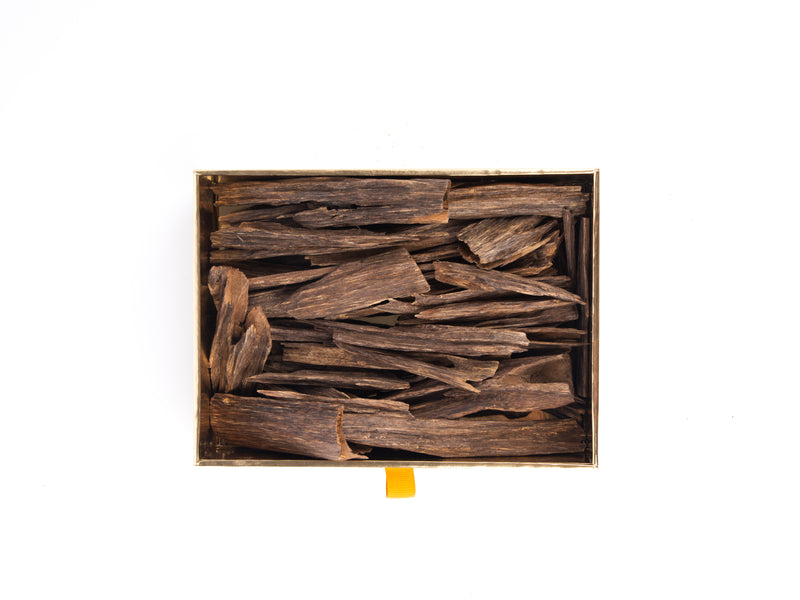 دهنال عود - سي