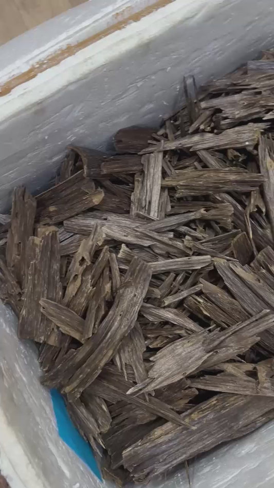 NAGALAND DOUBLE SUPER